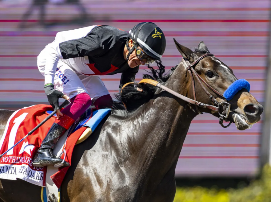 The Most Memorable Horse Racing Upsets