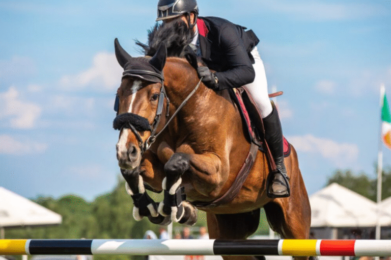 The Most Prestigious Horse Races You Should Know