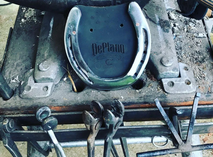 The Role of Horseshoe Design in Racing Performance