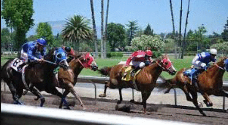Top 10 Horse Racing Myths Debunked